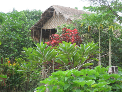 Papua New Guinea 2014 RESERVE