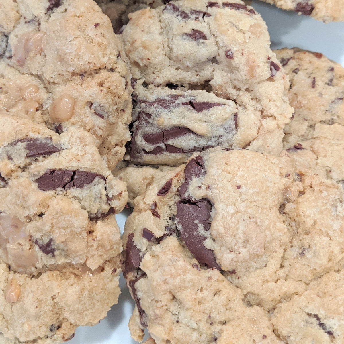 100% Medallions for Baking, Drinking & Tasting